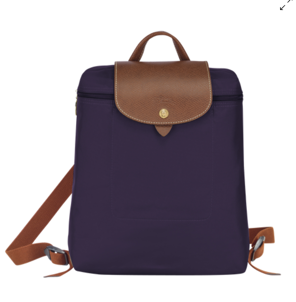 Longchamp Le Pliage Backpack – The Blay
